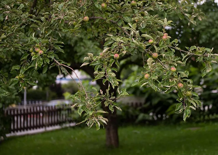 Zu Hause Im Schönen Tirol * Kirchbichl